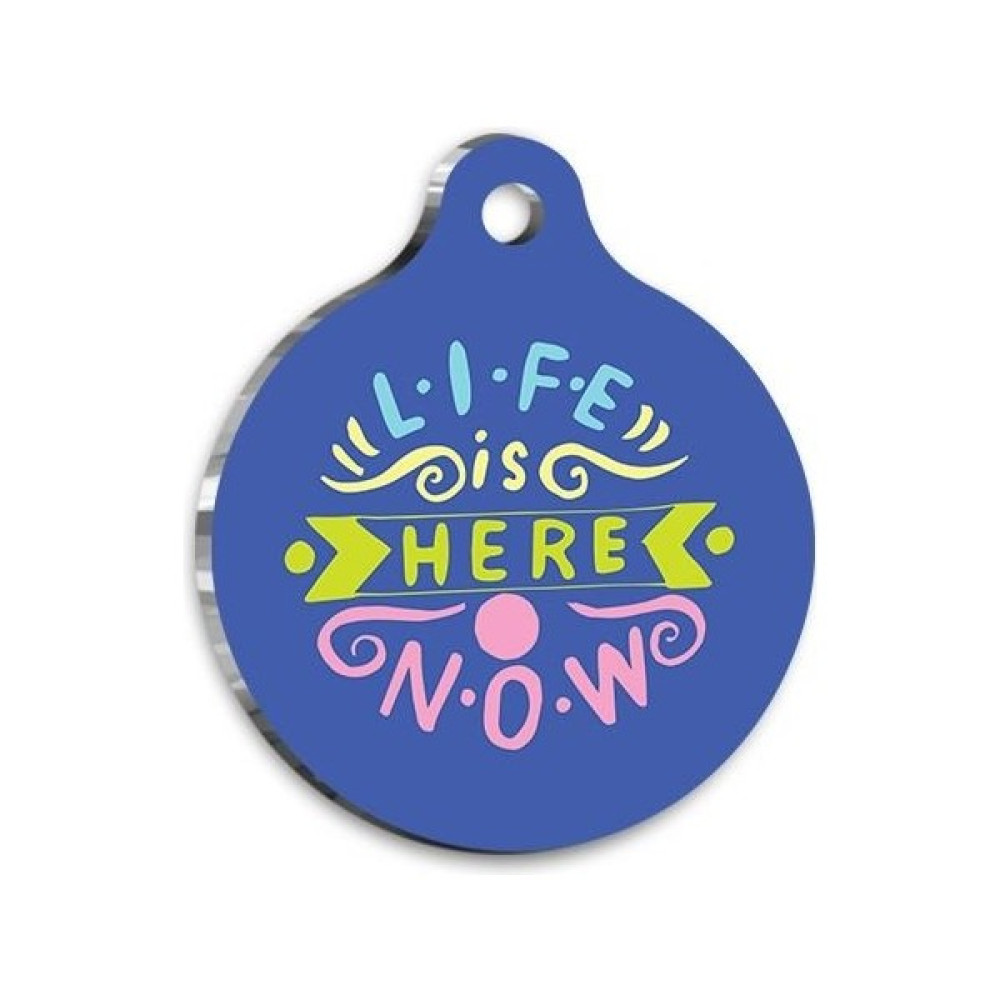 Pet Tag Art Qr Smart Id Life Is Here Now Kedi Köpek Künyesi Evcil Hayvan Ürünleri Fiyatı