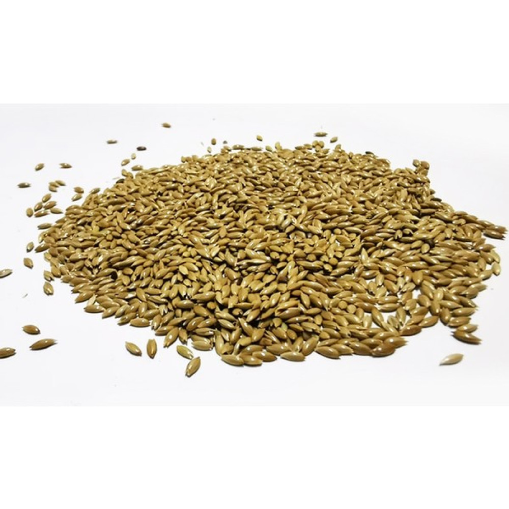 Petdoys Kuşlarınız Için Sade Aspur Yemi - 250 Gram Oto Boyaları Fiyatı