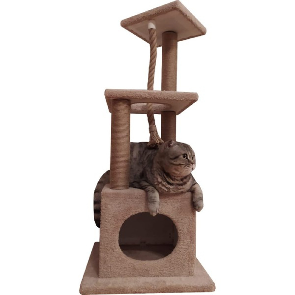Pethomealpi Kedi Tırmalama Evi ve Oyun Platformu %100 Müşteri Memnuniyeti Evcil Hayvan Ürünleri Fiyatı
