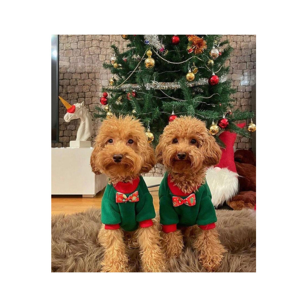 PetiliDünya Yeşil Noel Polar Papyonlu Kedi Kıyafet Köpek Kıyafet XL Beden Evcil Hayvan Ürünleri Fiyatı