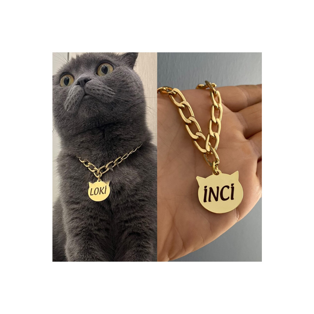 PETİSİM PET AKSESUARLARI Kedi Tasması Isimli Kedi Tasması Zincirli Tasma Paslanmaz Metal Evcil Hayvan Ürünleri Fiyatı