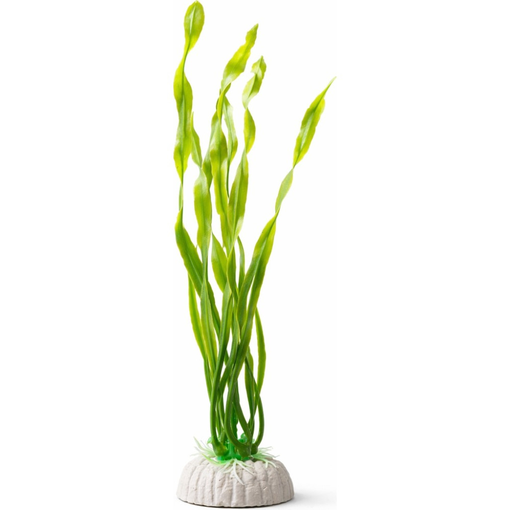 Petistera Plastik Akvaryum Bitkisi 30 cm - PB13 Evcil Hayvan Ürünleri Fiyatı