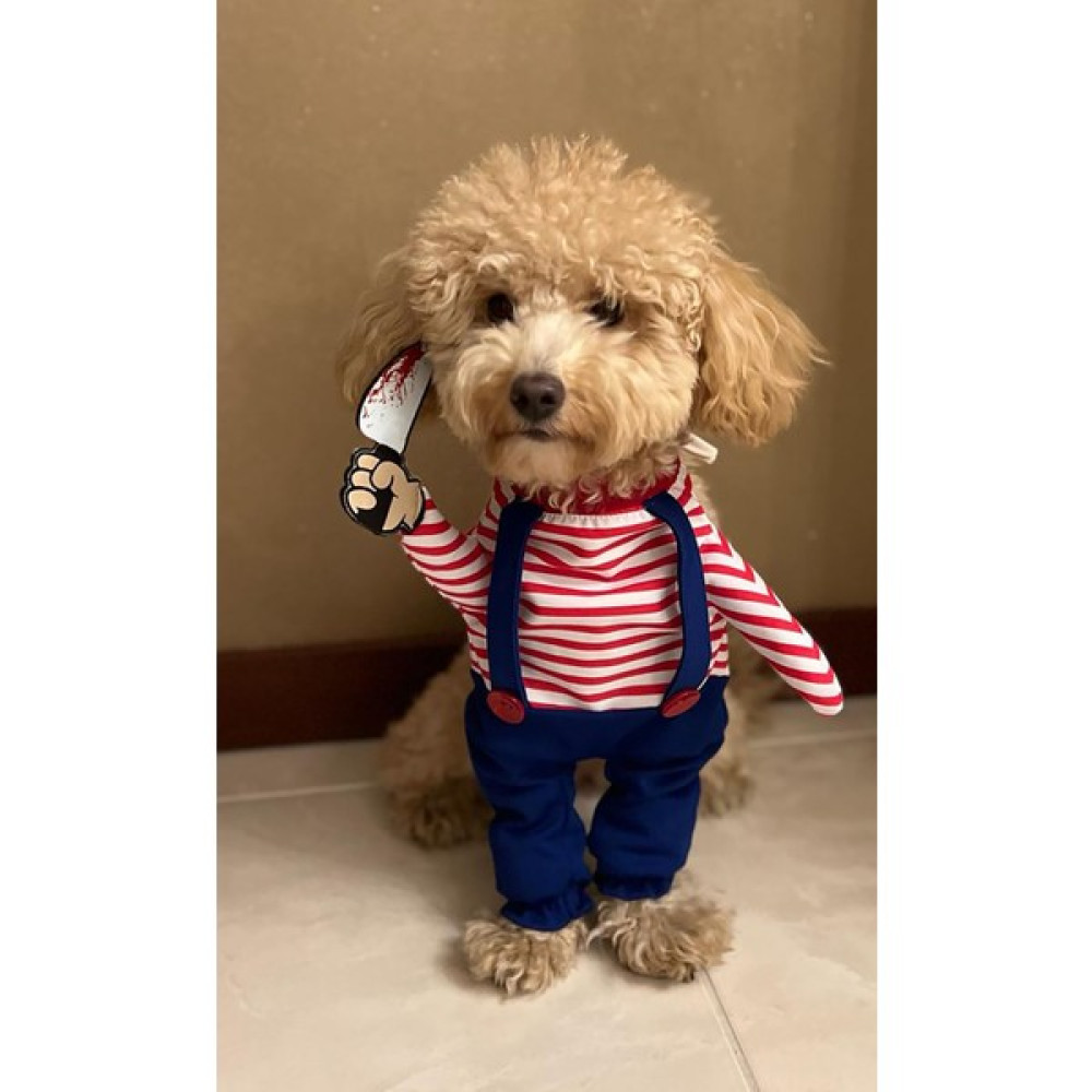 Petite Pati Chucky Katil Bebek Onden Giydirmeli Köpek Kıyafeti Kostümü - S - Lacivert Oto Boyaları Fiyatı