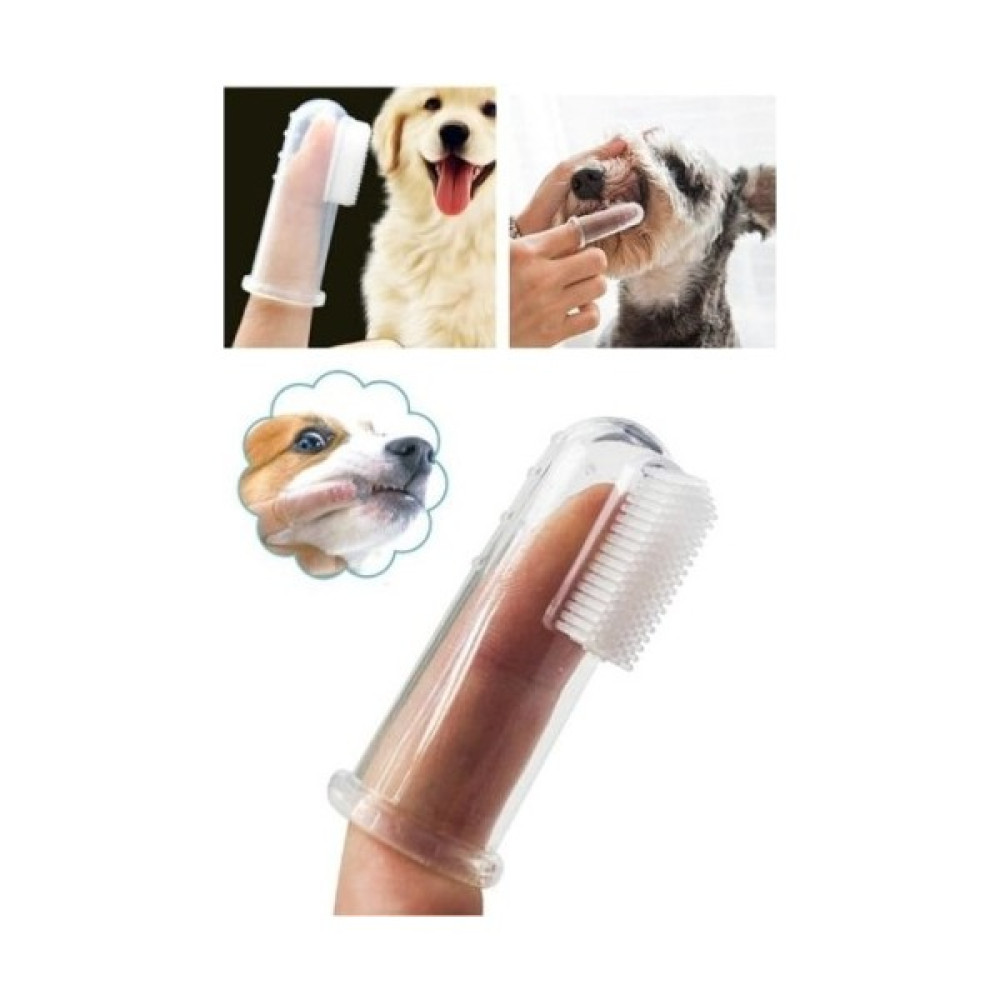 Petkit Kedi Köpek Diş Temizleme Fırçası Evcil Hayvan Ürünleri Fiyatı