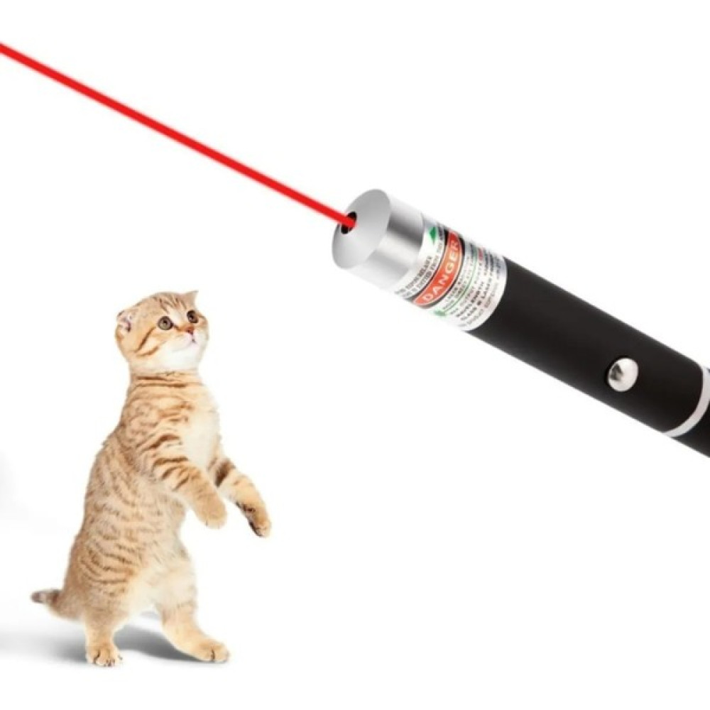 Petkit Kedi Lazer Oyuncak 3 Aşamalı Kedi Tuvalet Kum Eğitim Oyuncağı Evcil Hayvan Ürünleri Fiyatı