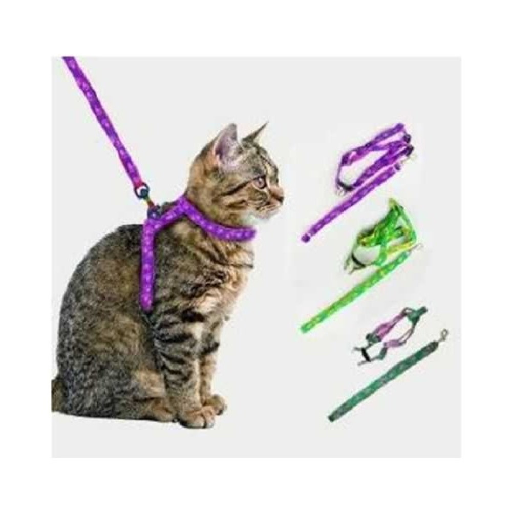 Petkit Kedi Tasması Evcil Hayvan Ürünleri Fiyatı