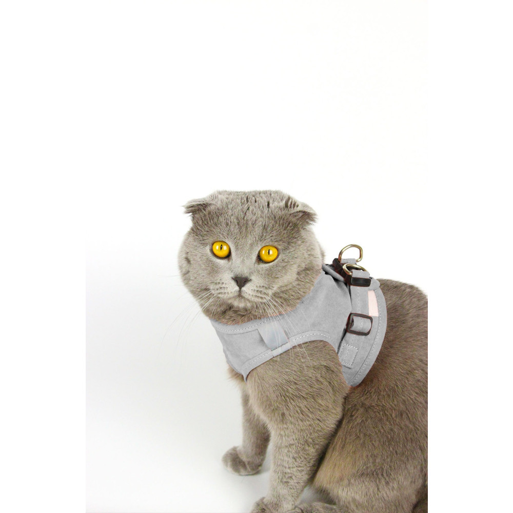 Petköy Kedi Gezdirme Tasması - Kedi Göğüs Tasma Seti Yumuşak Süet Kumaş Gri Renk Medium Beden Evcil Hayvan Ürünleri Fiyatı