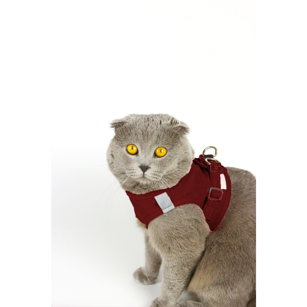 Petköy Kedi Gezdirme Tasması - Kedi Tasması Göğüs Tasma Seti Yumuşak Süet Bordo Renk Large Beden Evcil Hayvan Ürünleri Fiyatı