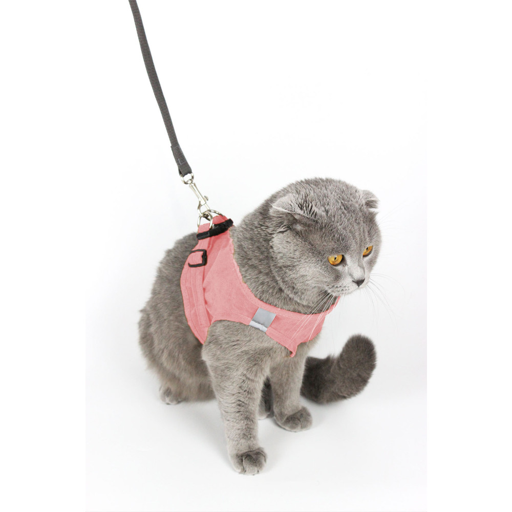 Petköy Kedi Gezdirme Tasması - Kedi Tasması Göğüs Tasma Seti Yumuşak Süet Pembe Renk Large Beden Evcil Hayvan Ürünleri Fiyatı