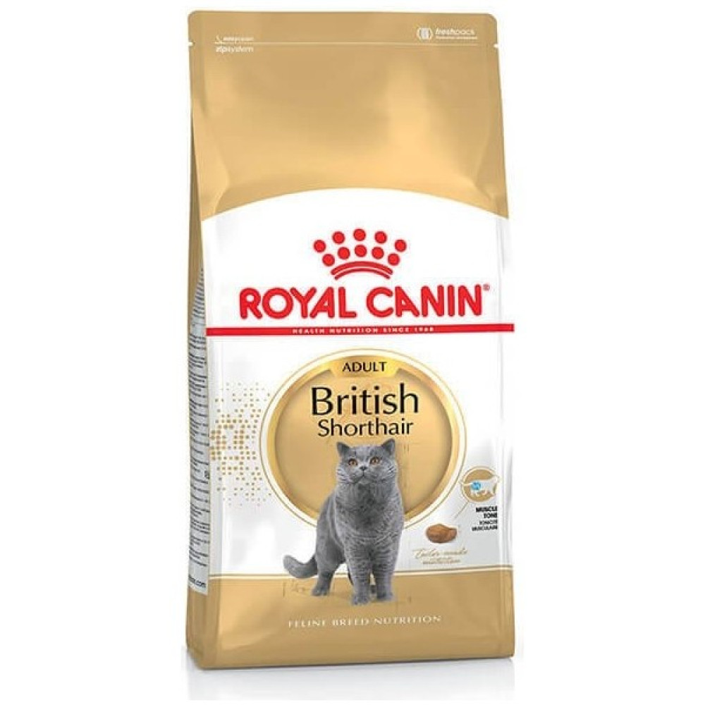 Petline Royal Canin British Shorthair Adult Yetişkin Kedi Maması 2 kg Evcil Hayvan Ürünleri Fiyatı