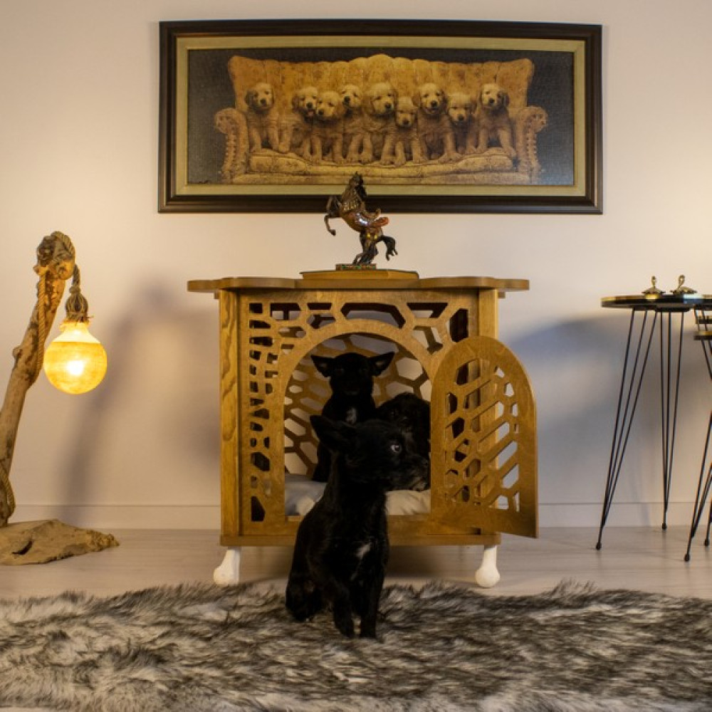 Petpone Chillpet™ Iç Mekan Köpek Kulübesi Evcil Hayvan Ürünleri Fiyatı