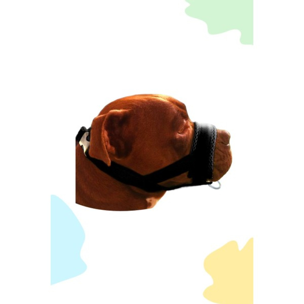 Pet's Go Köpek Ağızlığı ve Eğitim Tasması - L - Siyah Evcil Hayvan Ürünleri Fiyatı