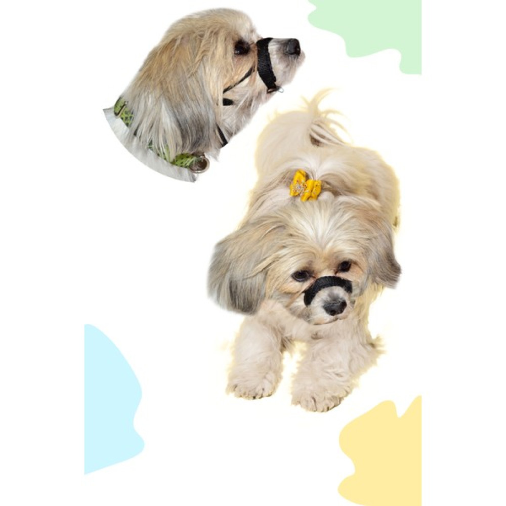 Pet's Go Köpek Ağızlığı ve Eğitim Tasması - M - Siyah Evcil Hayvan Ürünleri Fiyatı