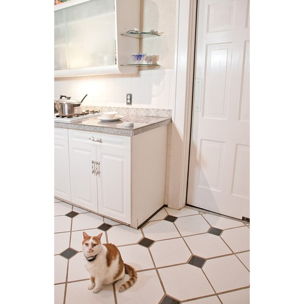 Petsafe Pawz Away® Mini Pati Engelleyici Oto Boyaları Fiyatı