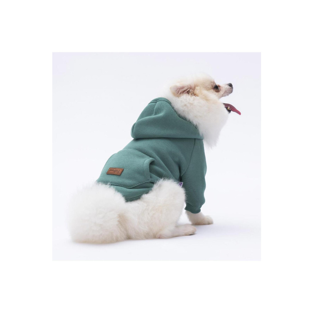 Pettrend Çağla Yeşil Kanguru Cepli Kedi-köpek Hoodie- Sweatshirt Kedi Köpek Kıyafeti 2XL Beden Evcil Hayvan Ürünleri Fiyatı