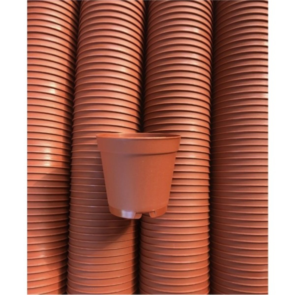 Peyzaj Burada Online Bahçe Market 5.5 cm Sukulent Kaktüs Saksısı 50 Ad.(Kahverengi) Saksı ve Aksesuarları Fiyatı