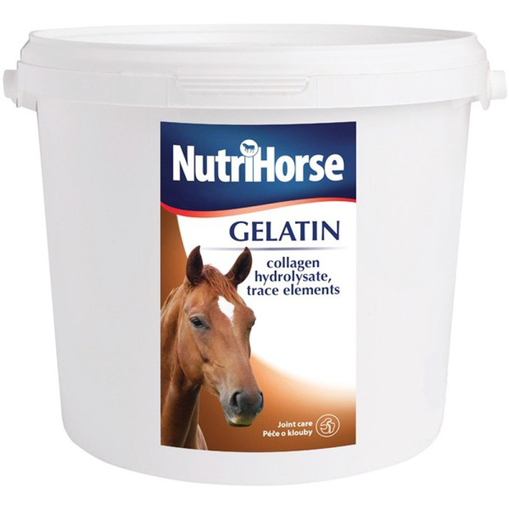 Pharmax Nutrihorse Gelatin 3 kg - yok Oto Boyaları Fiyatı