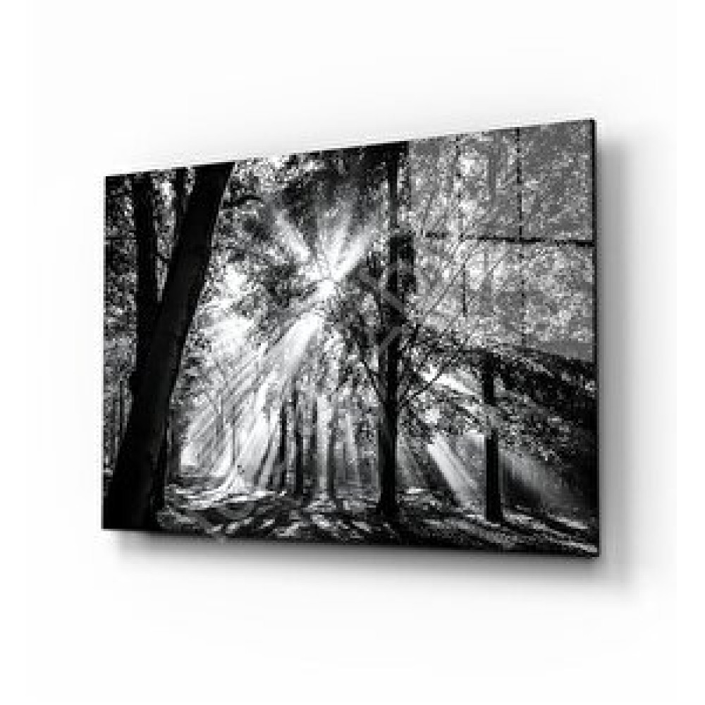 Pi Dekorasyon Manzara Ve Gelin Cam Tablo 50x70 cm Tablo & Poster Fiyatı