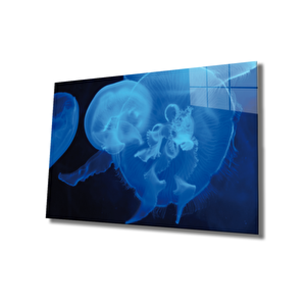 Pi Dekorasyon Mavi Denizanası Cam Tablo Blue Jellyfish 110x70 cm Tablo & Poster Fiyatı