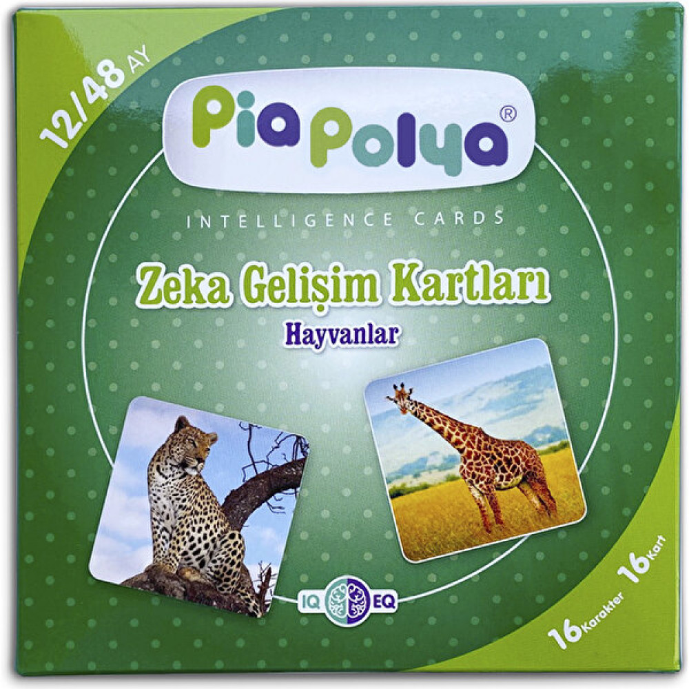 Pia Polya Zeka Gelişim Kartları | 16 Adet | Mukavva Eğitici Oyuncak Fiyatı