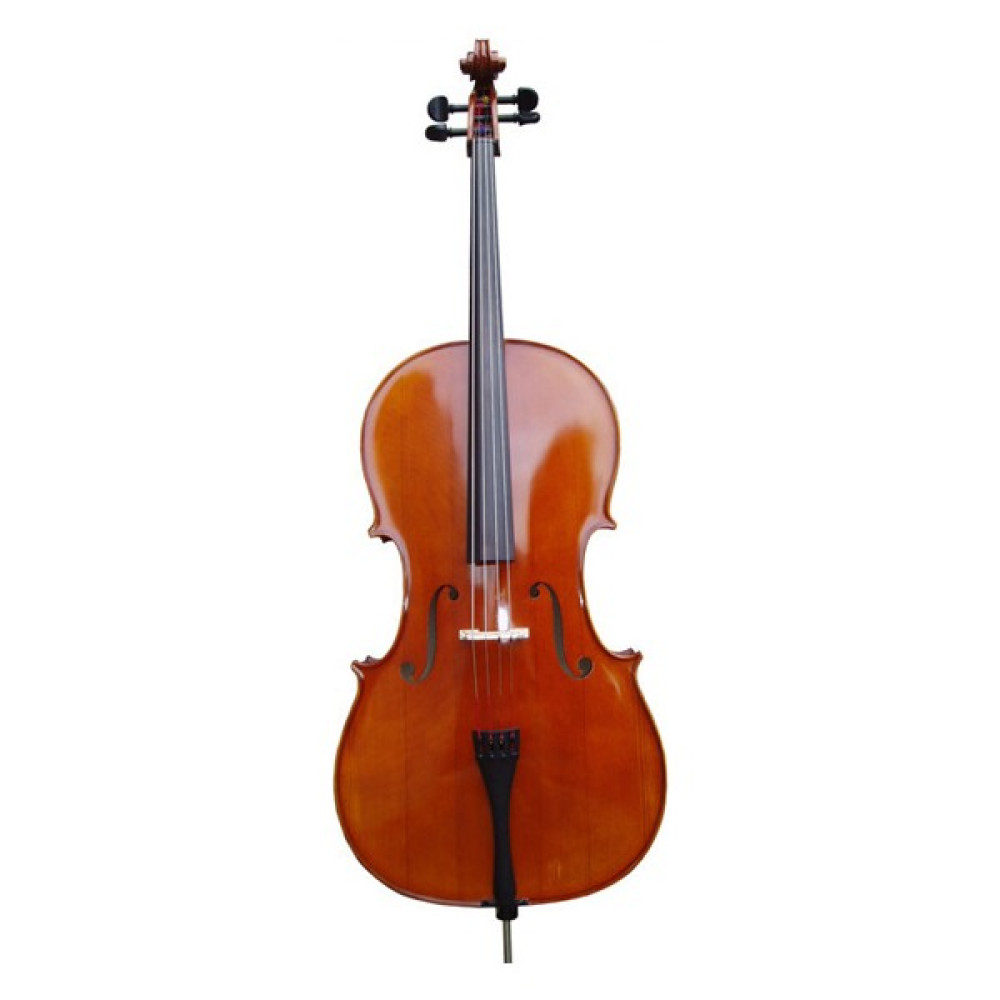 Picaldi 3/4 CG106 Çello Oto Boyaları Fiyatı