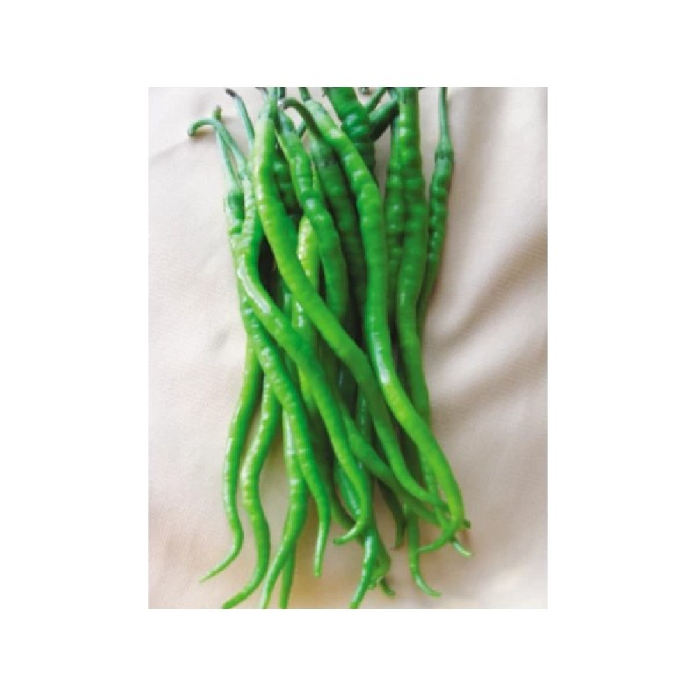 Pinaper Seed Acı Kıl Biber Tohumu 5 gr Pınaper Tohumculuk - 1 Paket Oto Boyaları Fiyatı