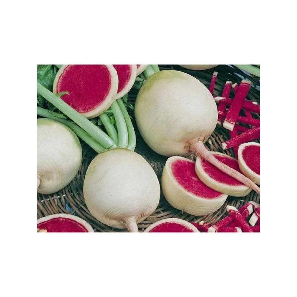 Pinaper Seed Çin Turp Tohumu 5 gr Pınaper Tohumculuk - 1 Paket Oto Boyaları Fiyatı