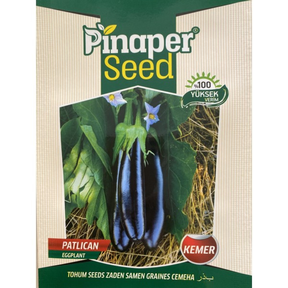 Pinaper Seed Patlıcan Tohumu - Kemer - 10GR - 1 Adet Oto Boyaları Fiyatı