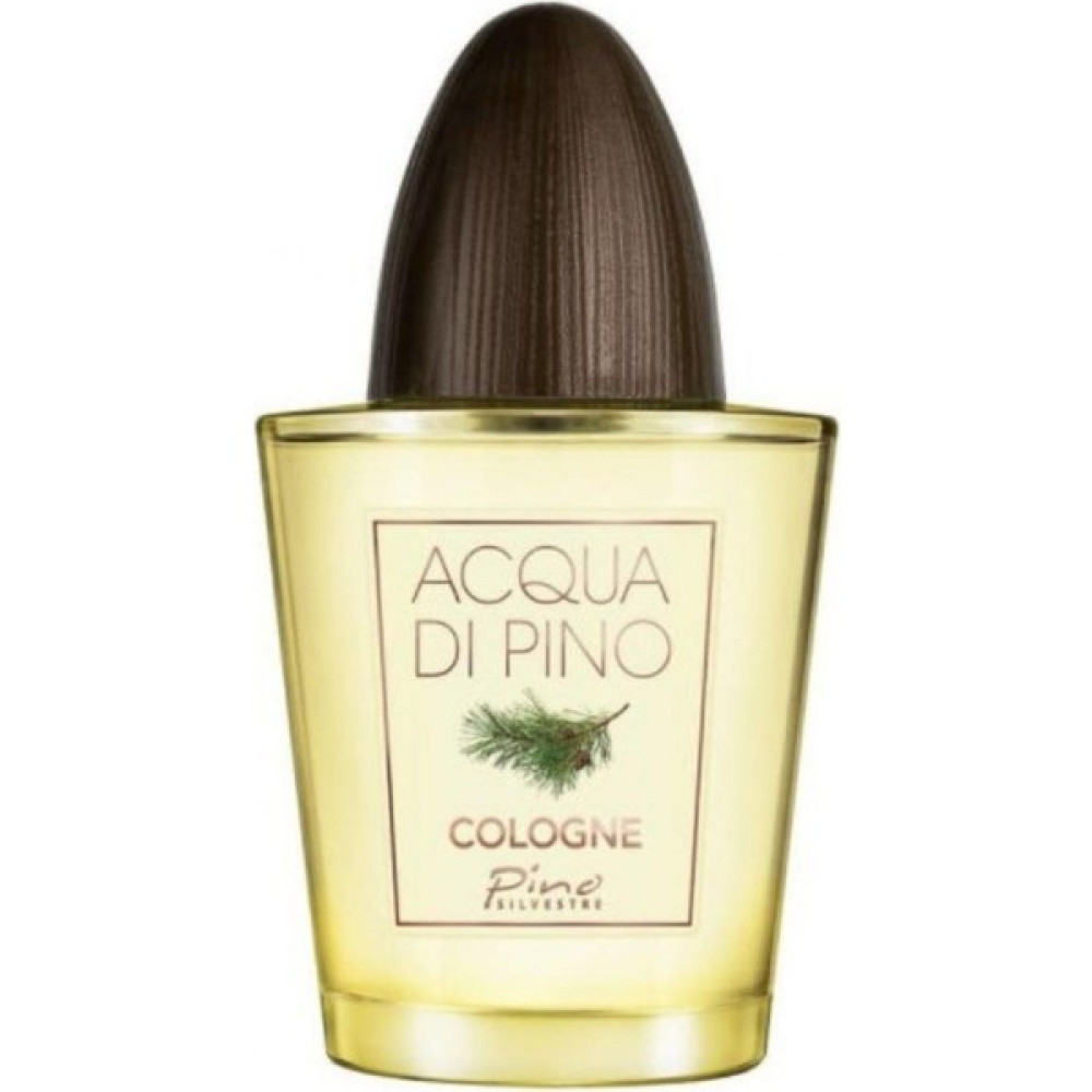 Pino Silvestre Acqua Di Pino Edc 125 ml Erkek Parfümü Erkek Parfümleri Fiyatı