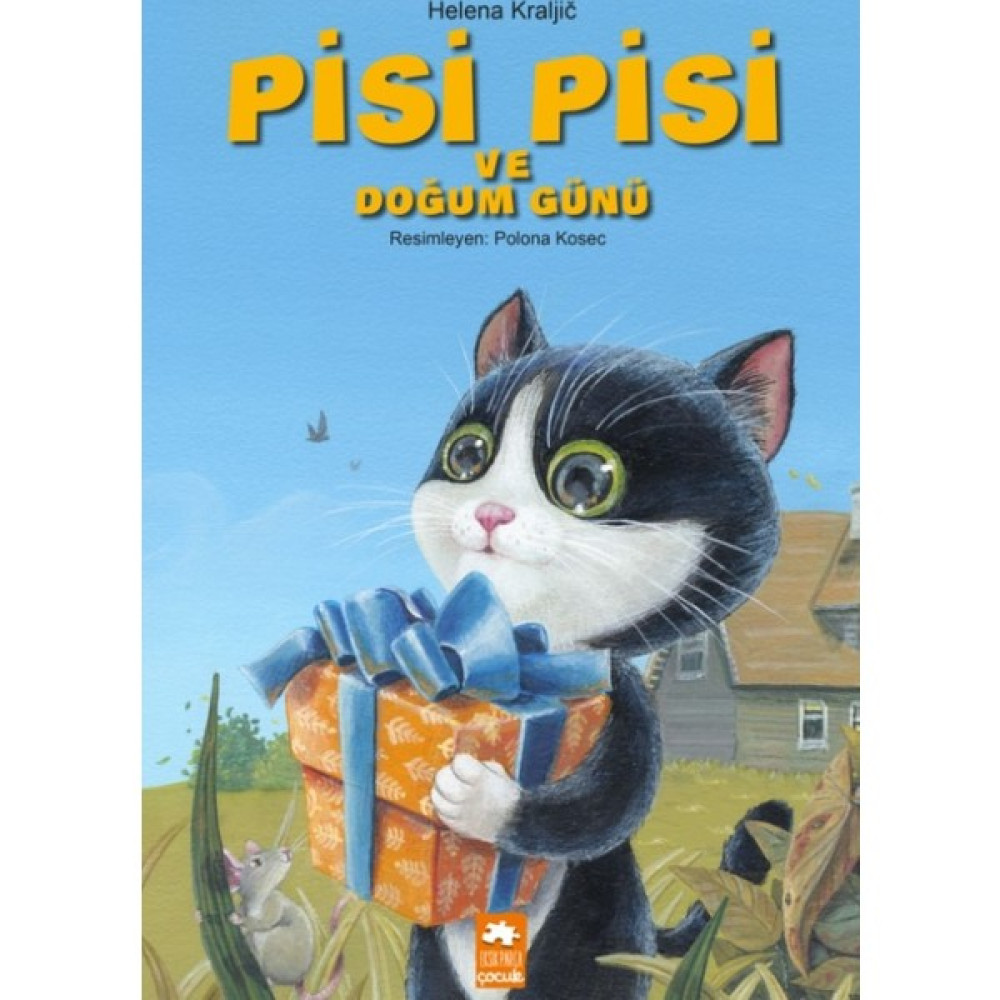 Pisi Pisi Ve Doğum Günü Çocuk Öykü Fiyatı