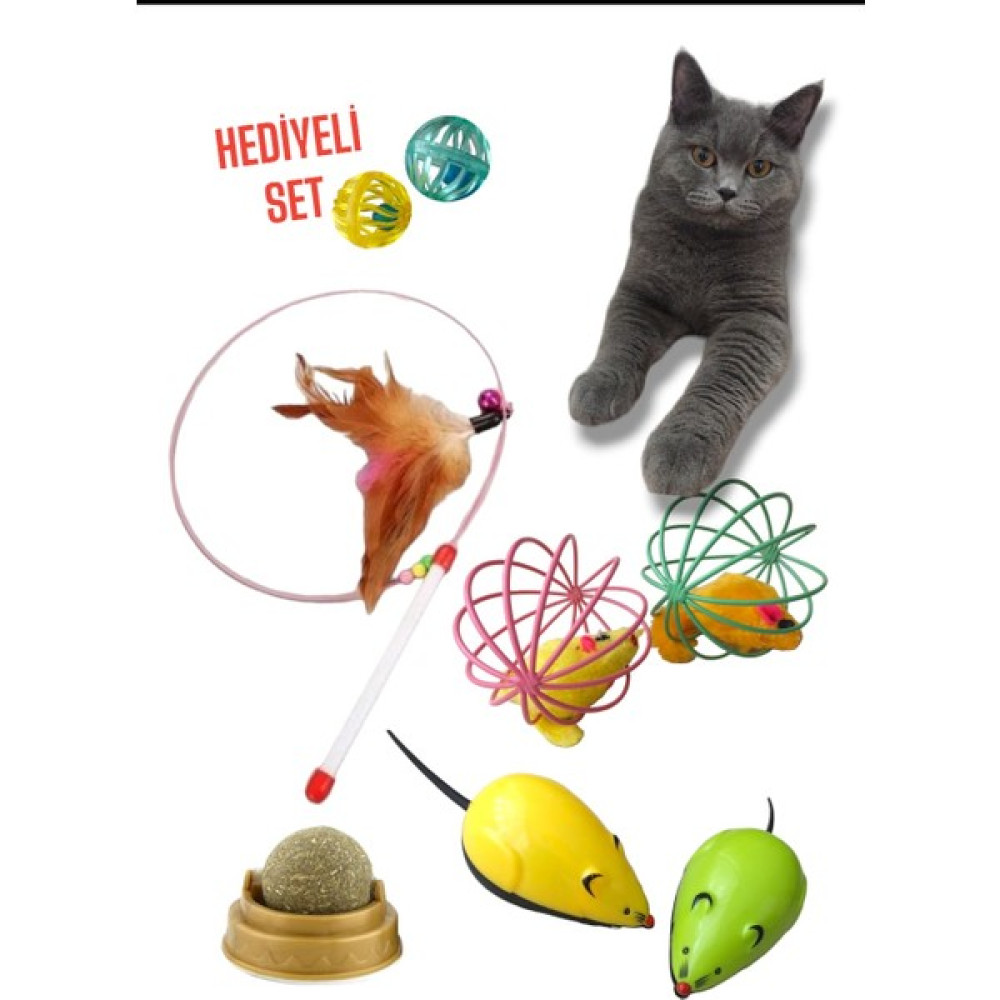 Pisimisi Kedi Oyuncak Seti Oto Boyaları Fiyatı