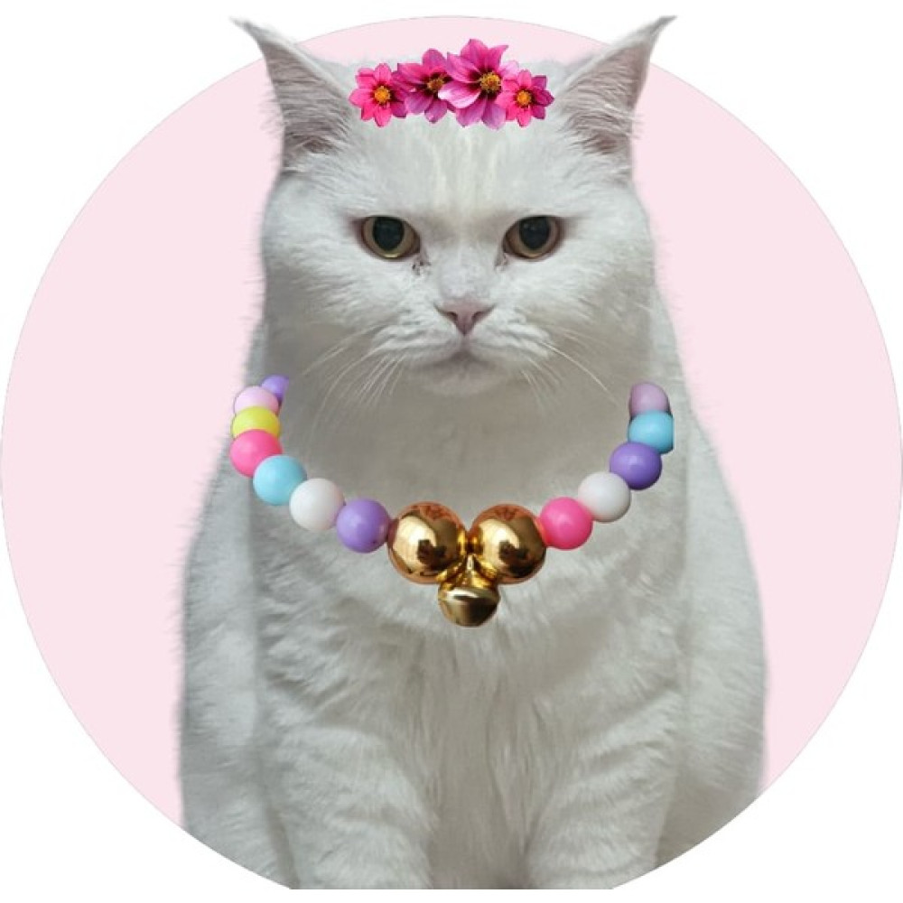 Pisimisi Renkli Boncuklu Kedi Tasması - Pembe Evcil Hayvan Ürünleri Fiyatı