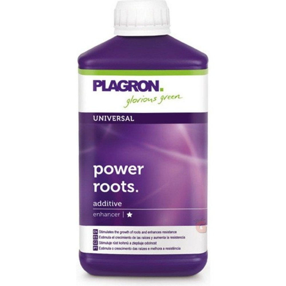 Plagron Power Roots 1 Litre - Şeffaf Oto Boyaları Fiyatı