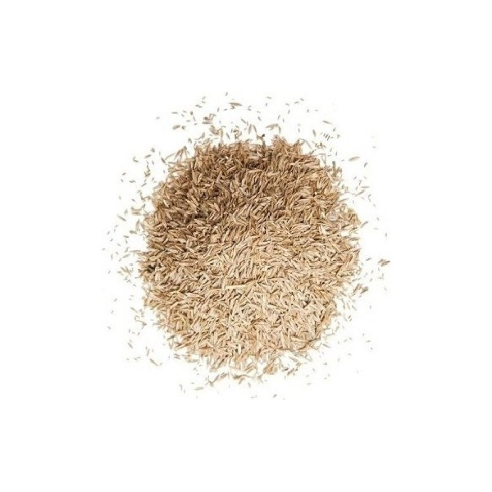 Plantistanbul 4 Karışım Refuge Çim Tohumu 1 kg (Susuzluğa Dayanıklı) Tohum Fiyatı