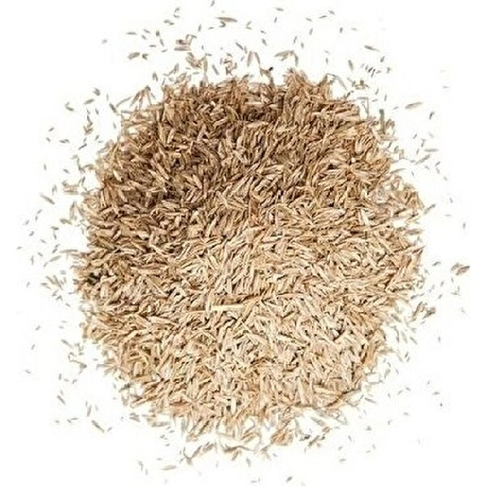 Plantistanbul 4m Gold %30 Su Tasarruflu Çim Tohumu 1 Kg - 10 kg Tohum Fiyatı