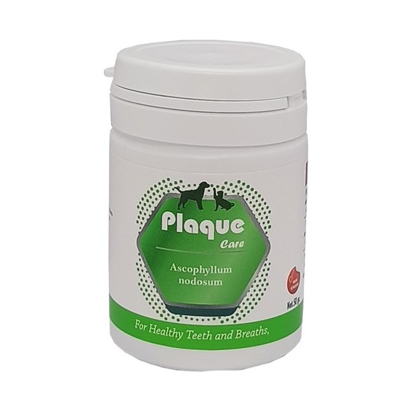 Plaque Care Kedi Köpek Ağız ve Diş Bakım Ürünü 500 g Sağlıklı Dişler İçin Özel Formül Diğer Fiyatı