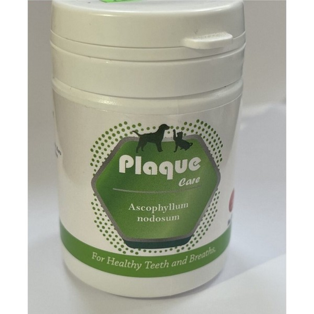 Plaque Care Kedi Köpekler İçin Ağız ve Diş Bakım Ürünü Evcil Hayvan Ürünleri Fiyatı