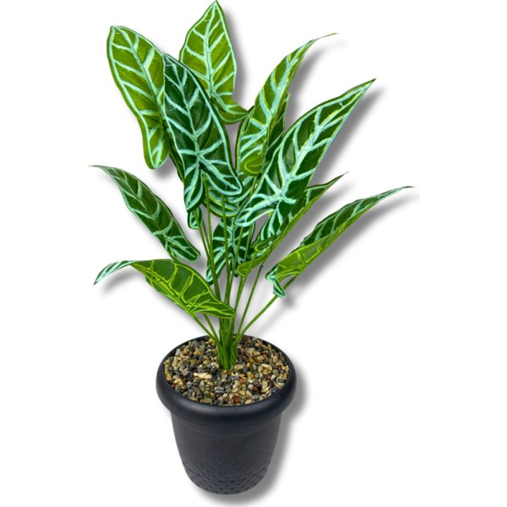 Plastik Saksıda Yapay Alocasia Bitkisi 70 cm 12 Dal Ev & Dekorasyon Aksesuarları Fiyatı