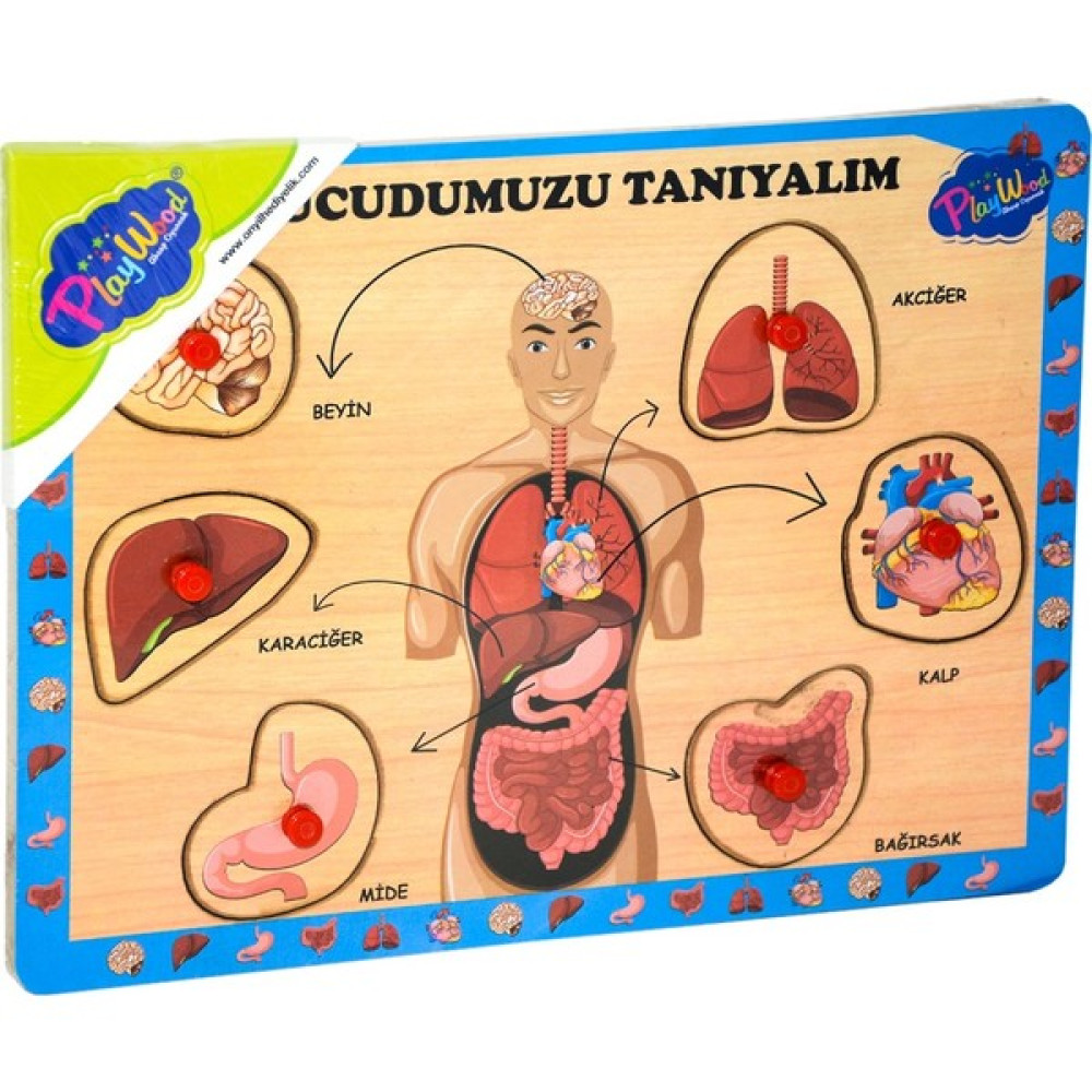 Play Wood Ahşap Tutmalı Vücudumuzu Tanıyalım Puzzle Puzzle & Aksesuarları Fiyatı