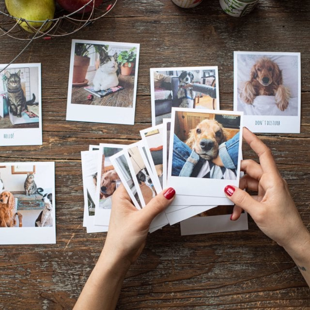 Pola Kart - 35 Adet Fotoğraf Kağıtları & Asetatlar Fiyatı