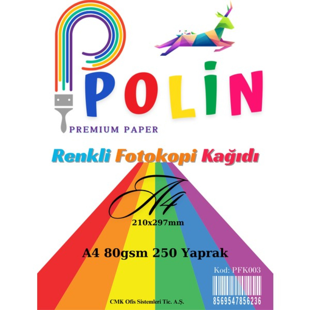 Polin A4 80GR Renkli Fotokopi Kağıdı 10 Renk 250'LI Paket Fotokopi Kağıdı Fiyatı