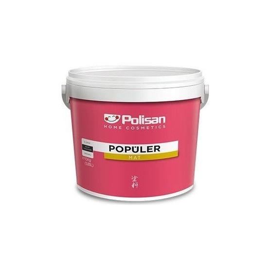 Polisan Popüler Plastik Gizemli Gri 20 kg Tüm Renkler İç Cephe Boyası Boyalar Fiyatı