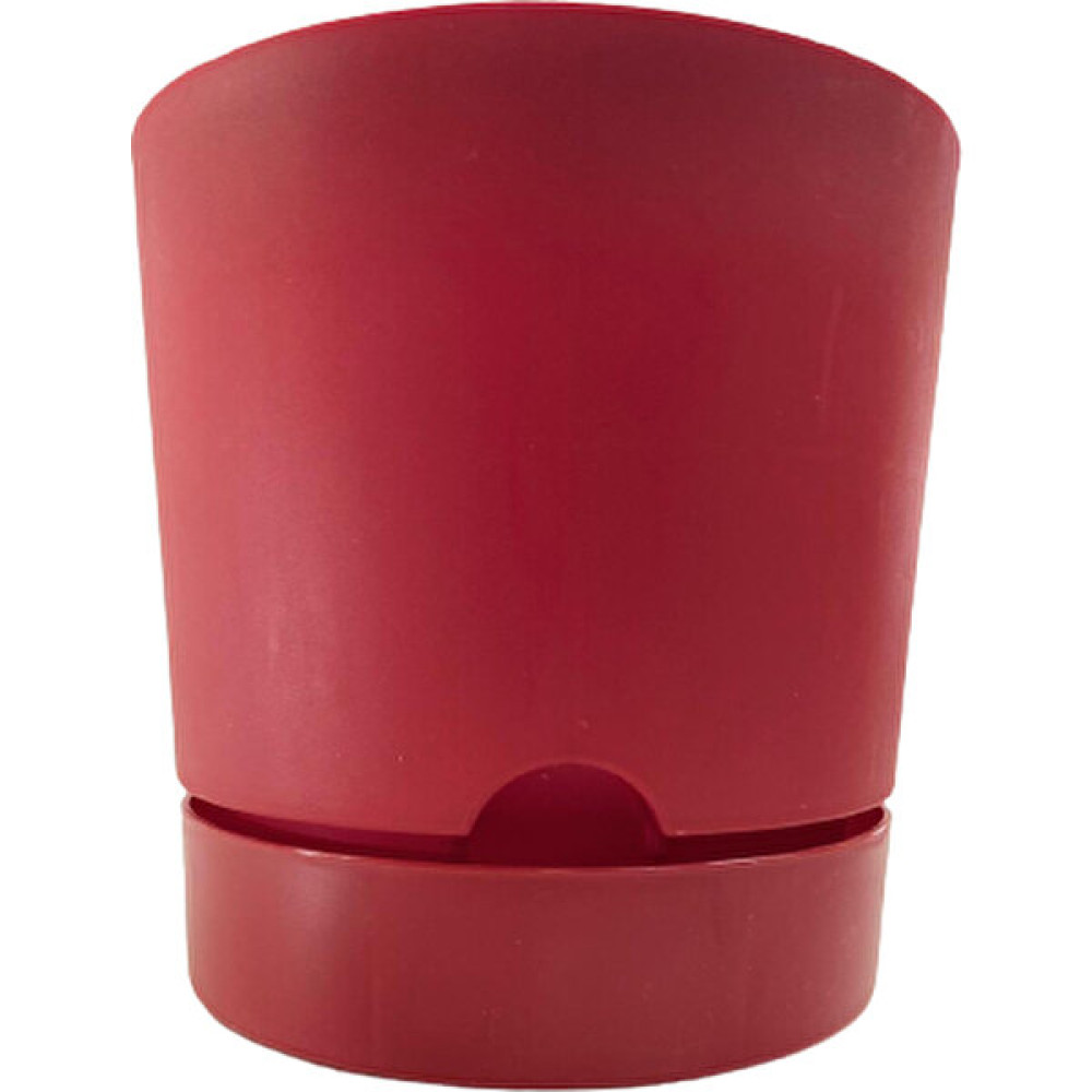 Poliwork Begonya 21 cm Bordo Tabaklı Saksı Saksı ve Aksesuarları Fiyatı