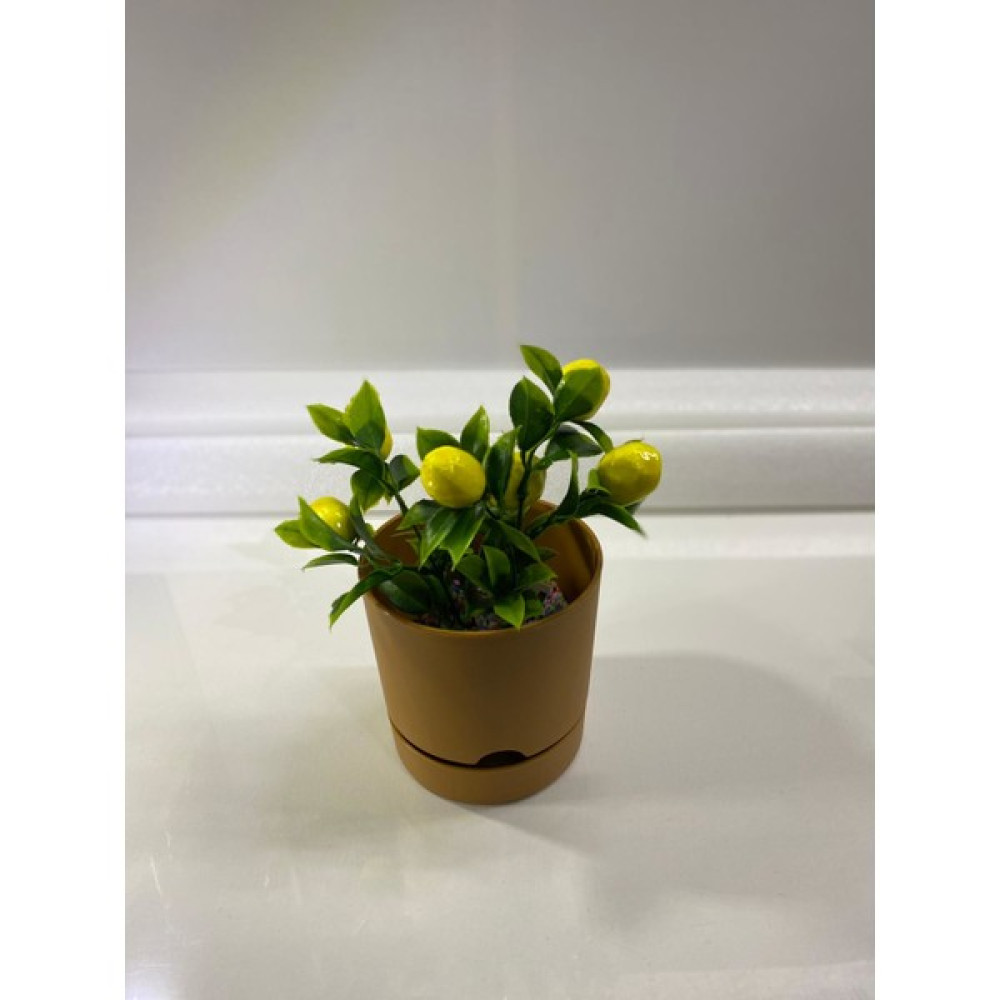Poliwork Begonya Hardal Tabaklı Saksı 12 cm Oto Boyaları Fiyatı