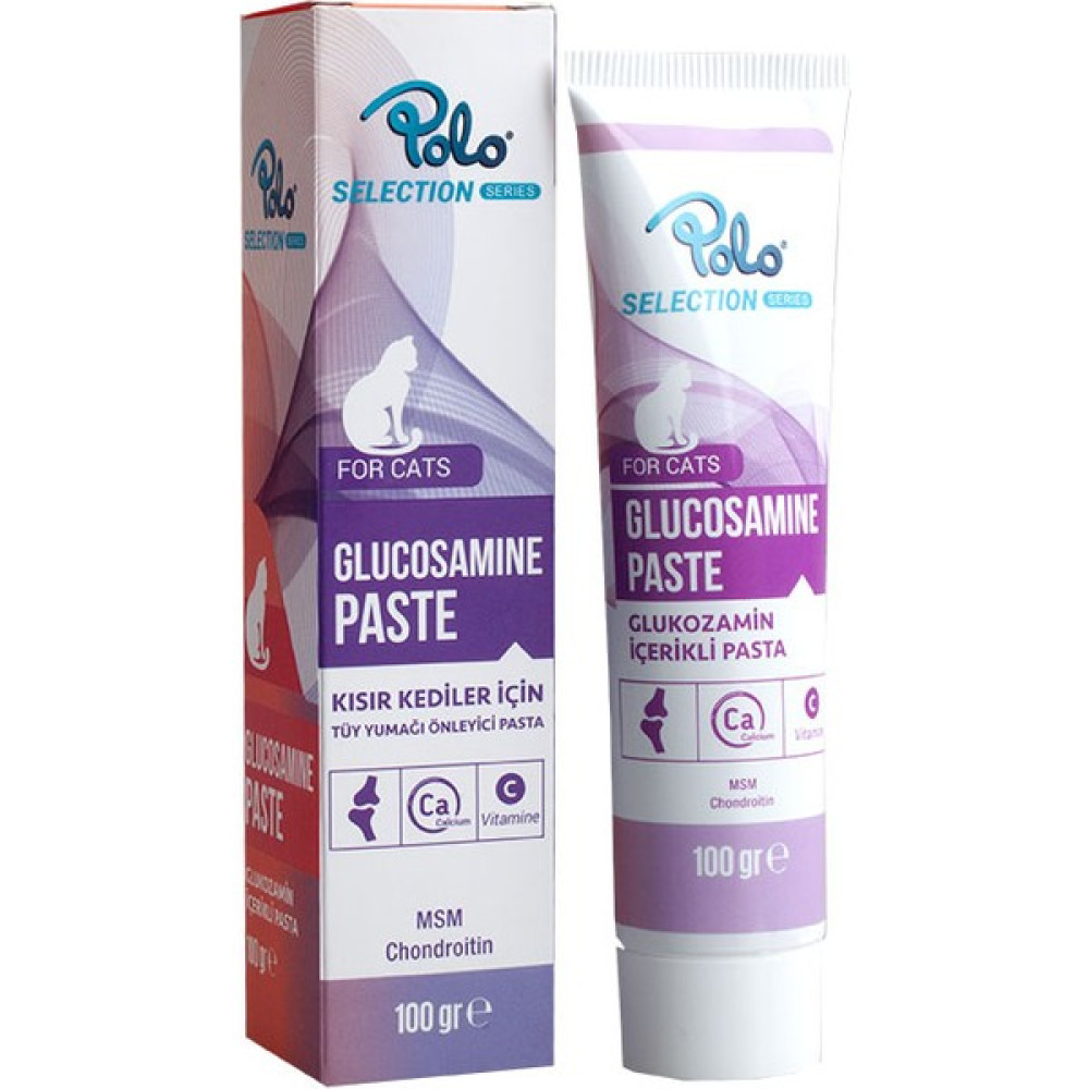 Polo. Glucosamine Paste 100GR Oto Boyaları Fiyatı
