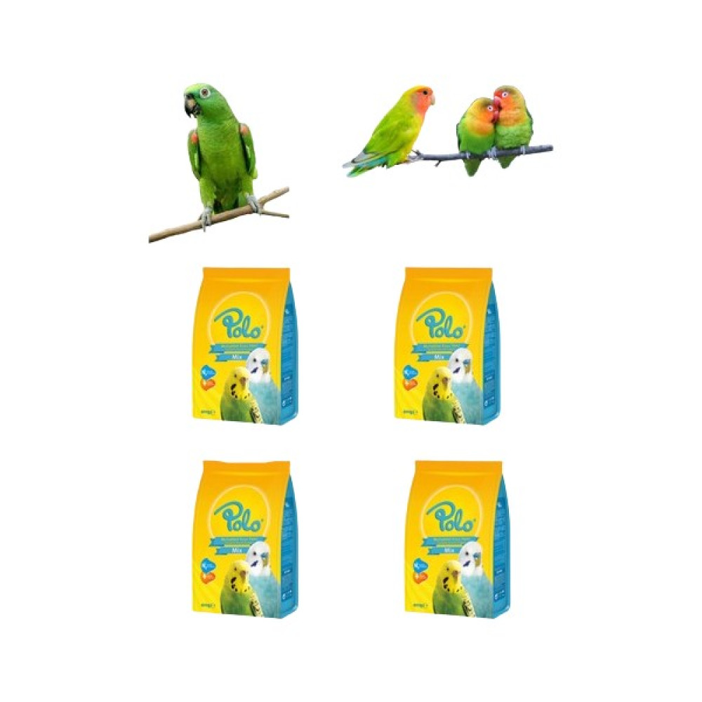 Polo. Muhabbet Kuşu Yemi 400 gr x 4 Pk Oto Boyaları Fiyatı