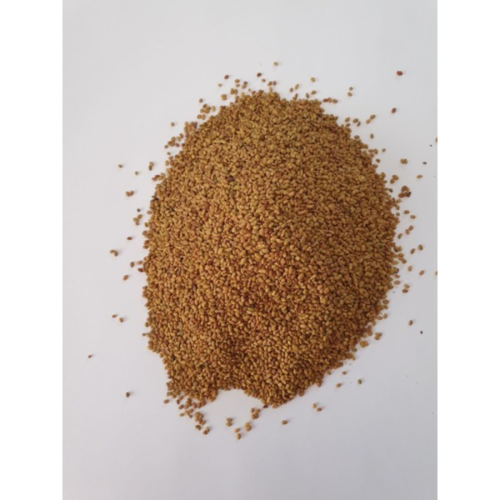 Polo Seed Kaplamasız Yonca Tohumu Vanda Poloseed 10 kg Tohum Fiyatı