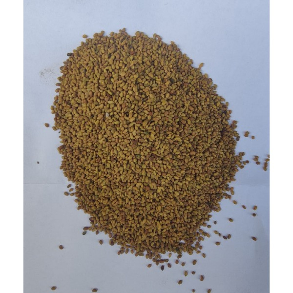 Polo Seed Sertifikalı Kaplamasız Yonca Tohumu Vanda 1 Kg, Alfalfa, Luzerne, Erba, Medica, Ps, Poloseed, Polo Seed - 1 kg Tohum Fiyatı