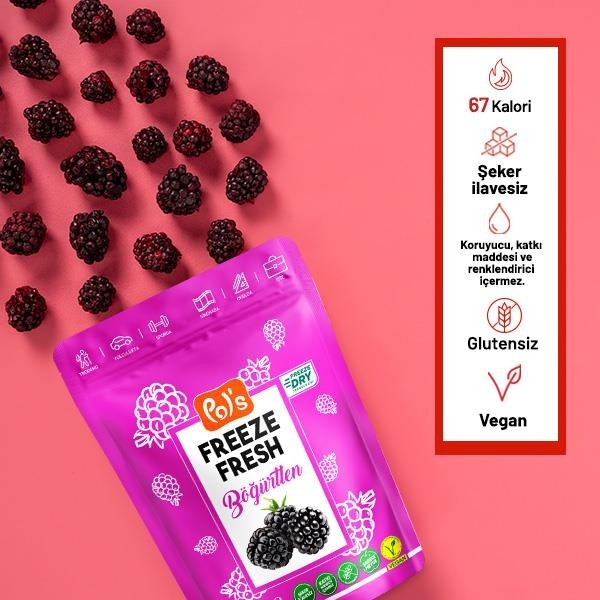Pol's Freeze Fresh Pol’s Freeze Fresh Dondurularak Kurutulmuş Böğürtlen 20 gr Kuru Meyve Fiyatı