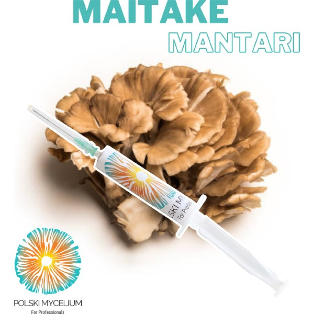 Polski My Celium Maitake Mantarı Sıvı Miseli 5 ml Mantar Tohumu Mantar Miseli Kompost Üretmek Için Ana Kültür - 1 Adet Tohum Fiyatı